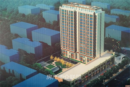 华联西港基文华园三室两厅两卫送储藏室可分期